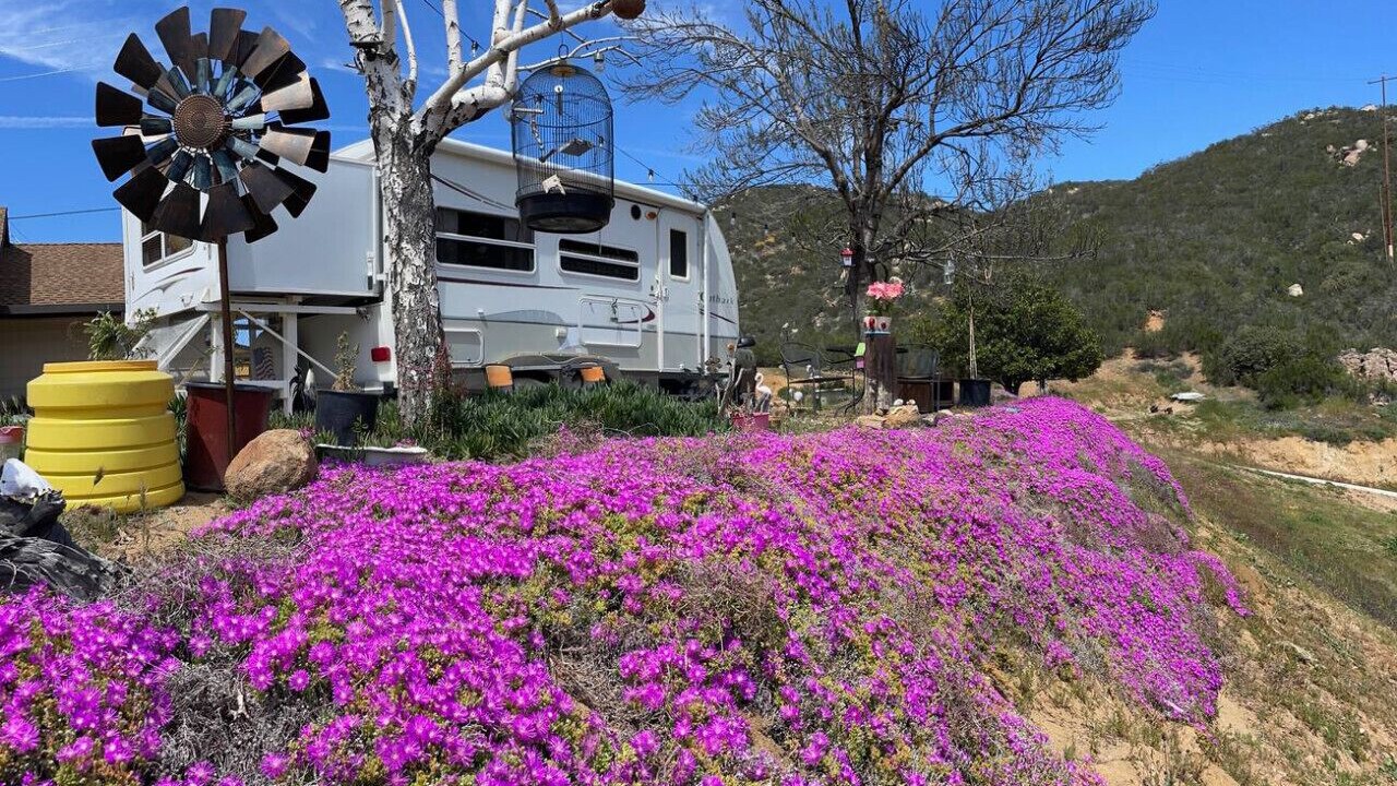 Photo of Others in Warner Springs