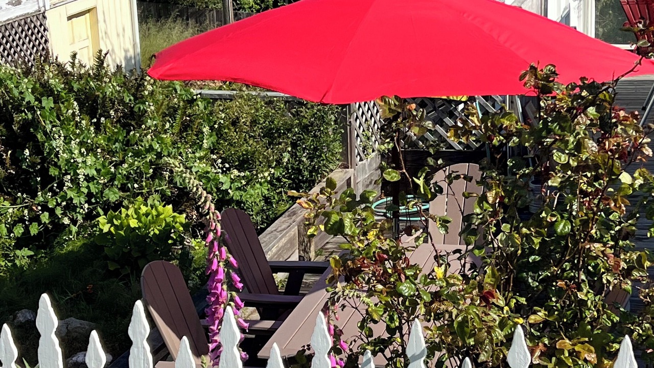 Photo of Patio Balcony in Albion