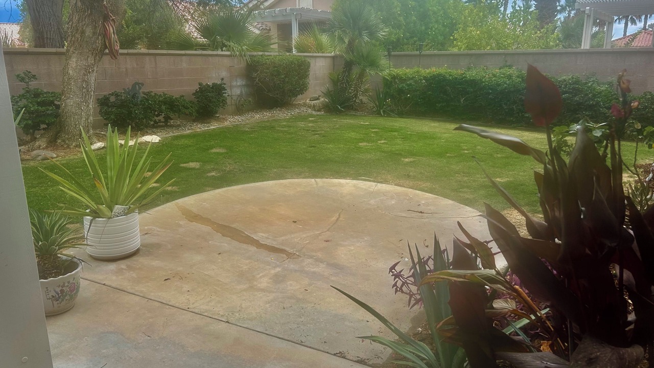 Photo of Outdoor in Desert Palms