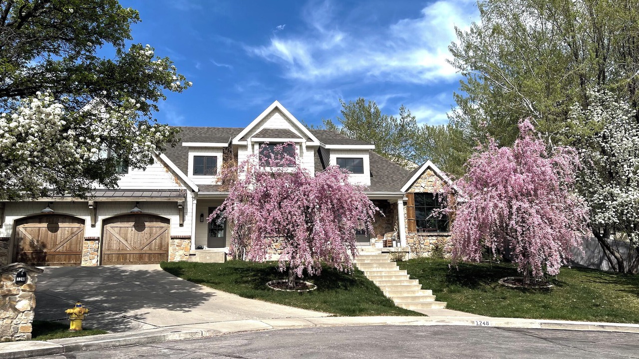 Photo of Outdoor in Orchard North