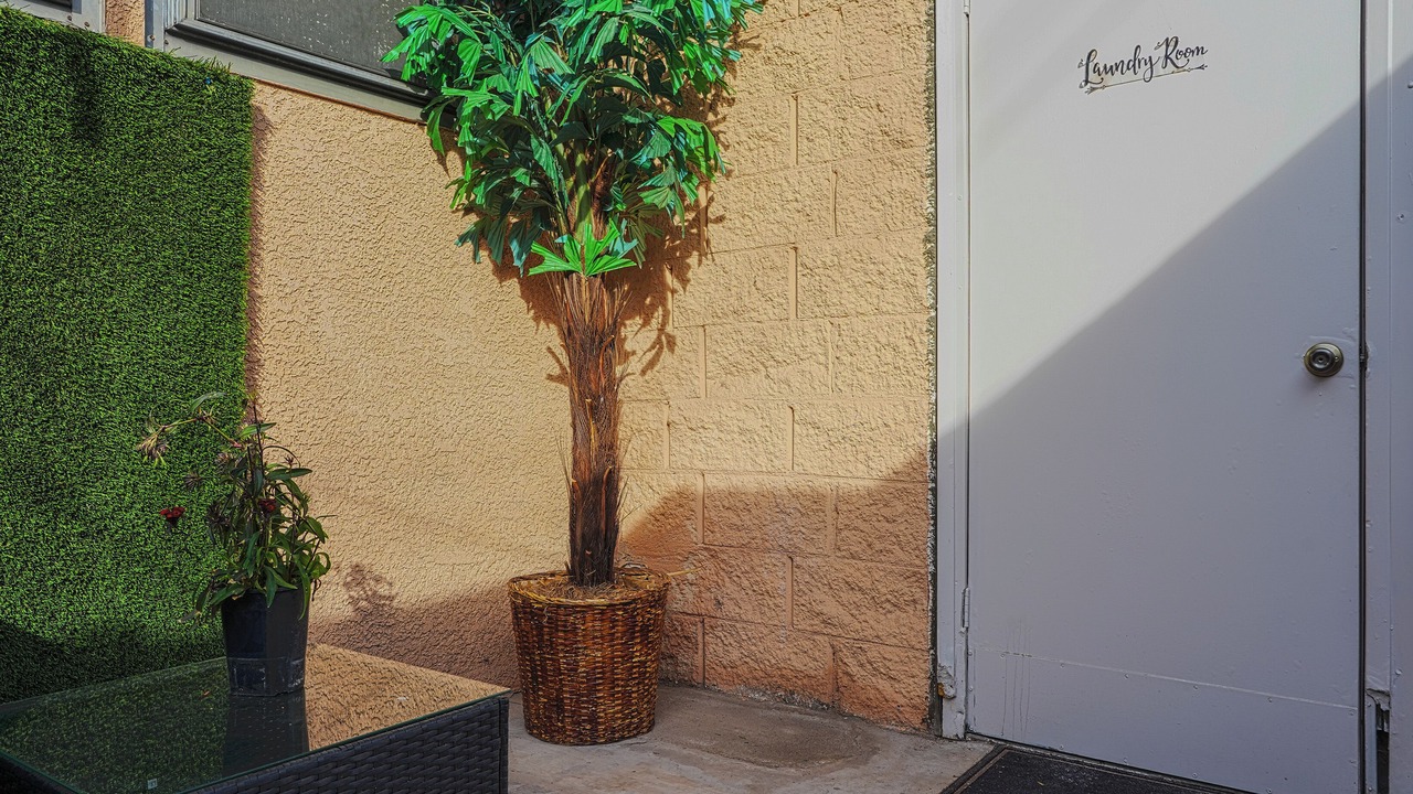 Photo of Outdoor in Downtown Las Vegas