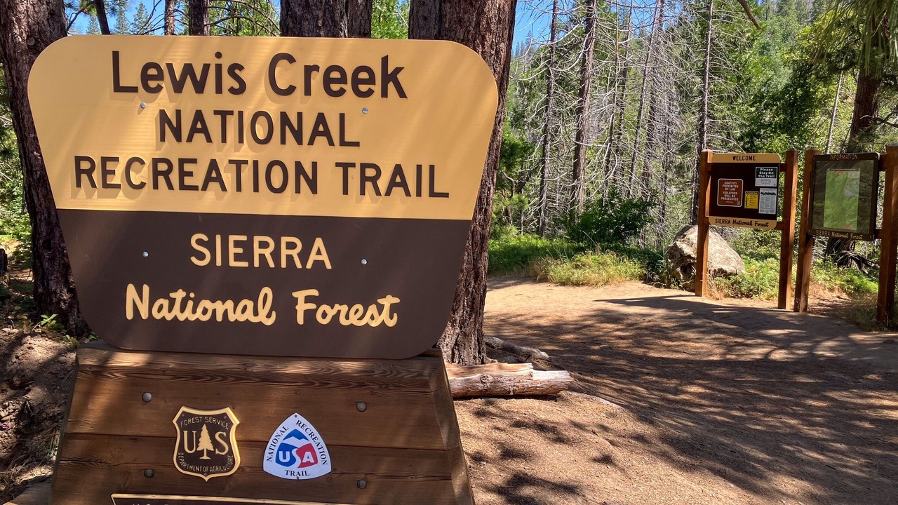 Photo of Others in Sugar Pine