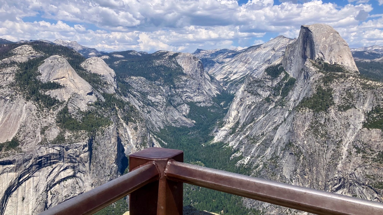 Photo of Others in Sugar Pine