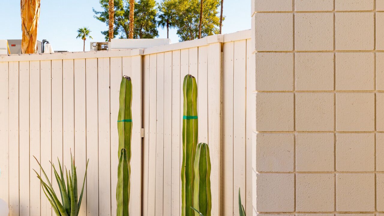 Photo of Outdoor in Twin Palms