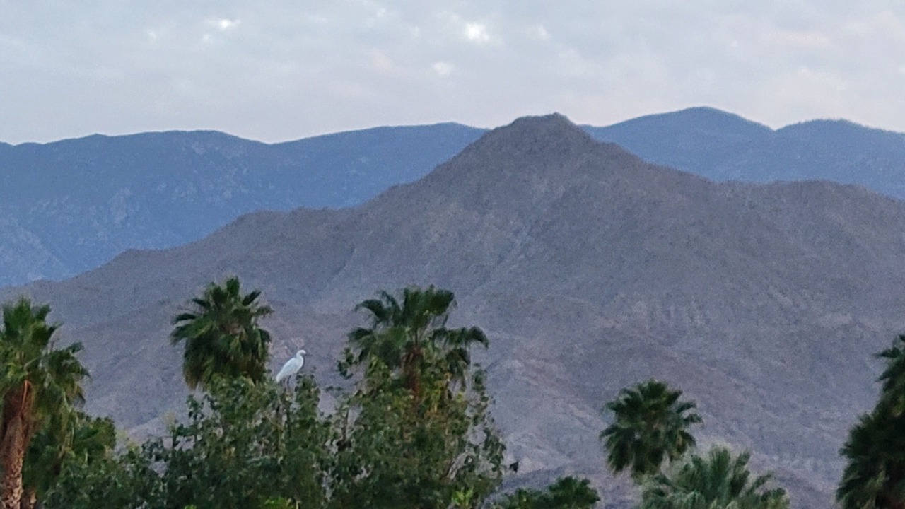 Photo of Others in Cathedral City