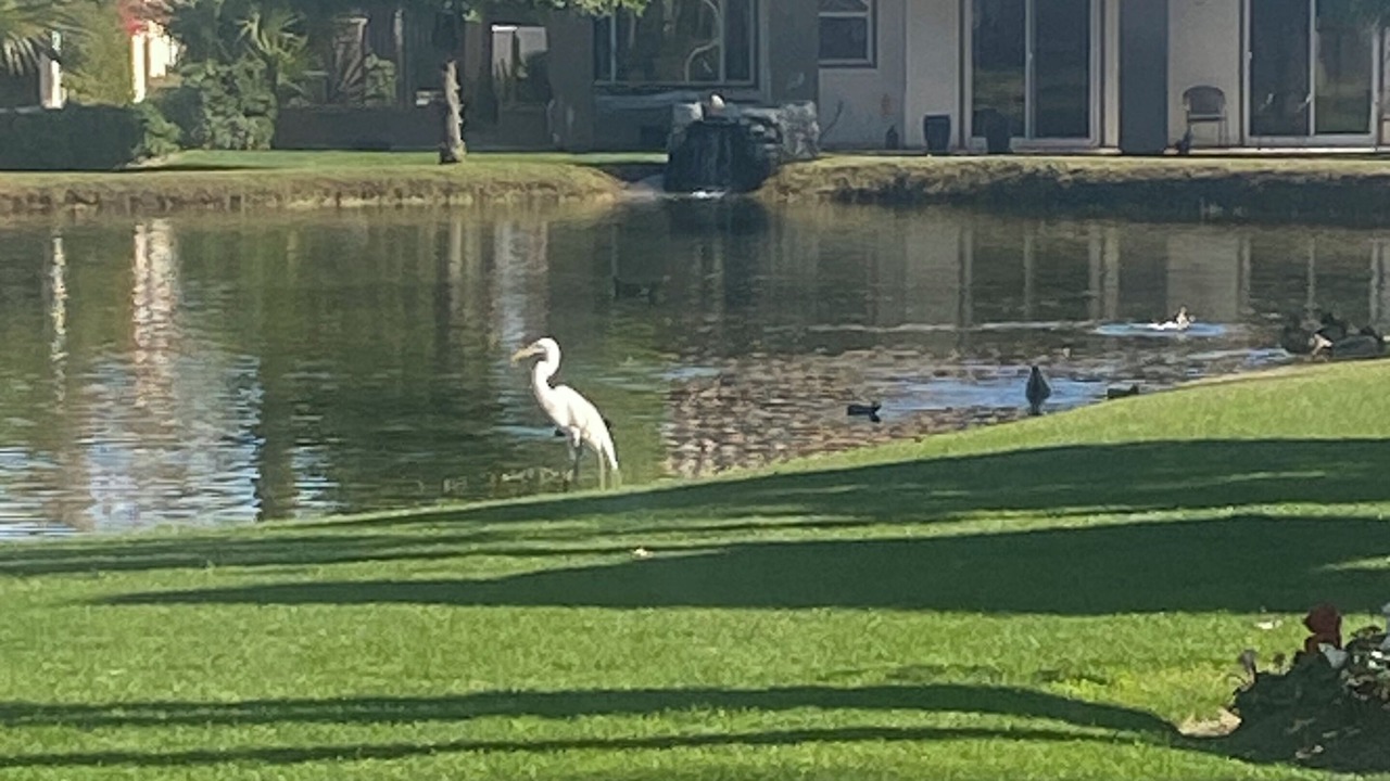 Photo of Outdoor in Rancho Mirage