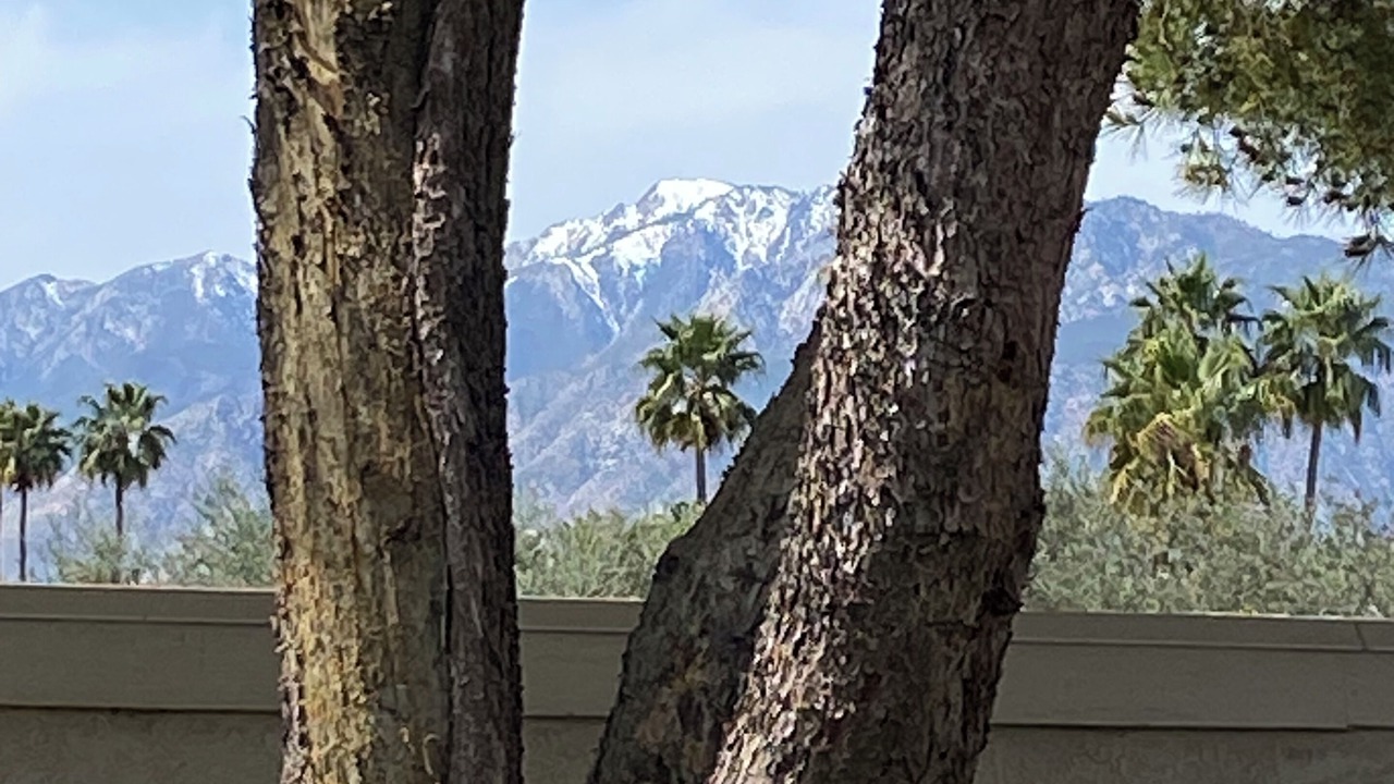 Photo of Outdoor in Rancho Mirage