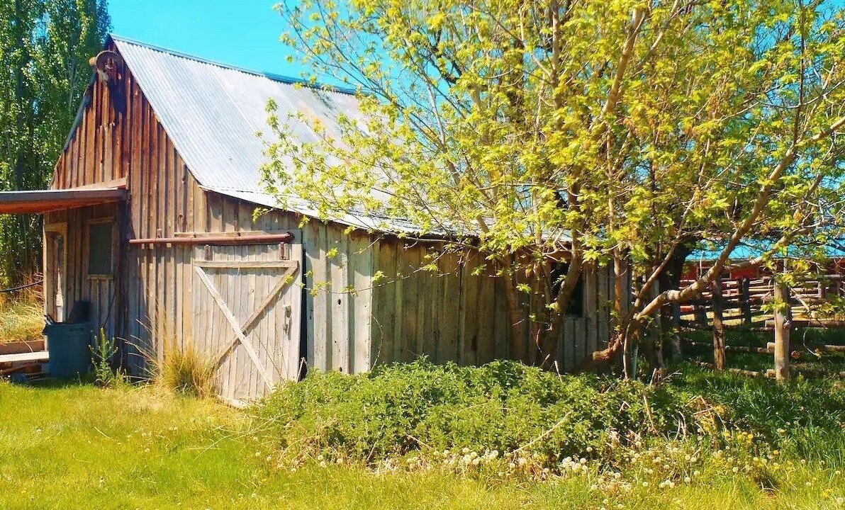 Photo of Outdoor in Cedarville