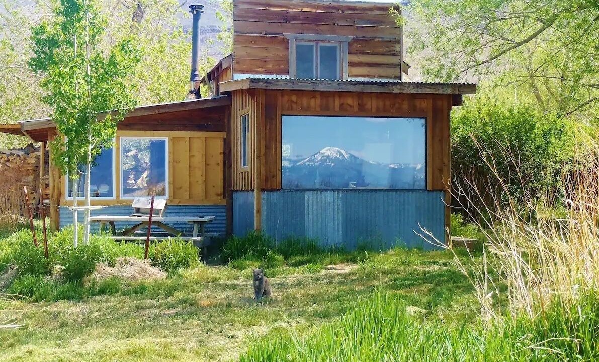 Photo of Outdoor in Cedarville