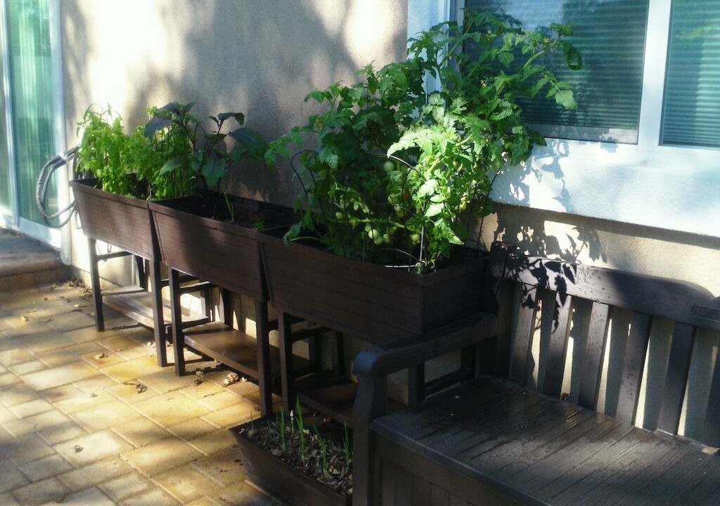 Photo of Outdoor in Pomona