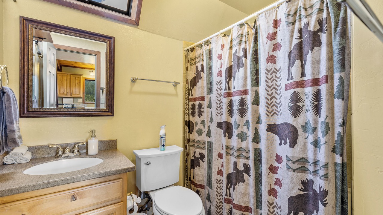 Photo of Bathroom in Baderville