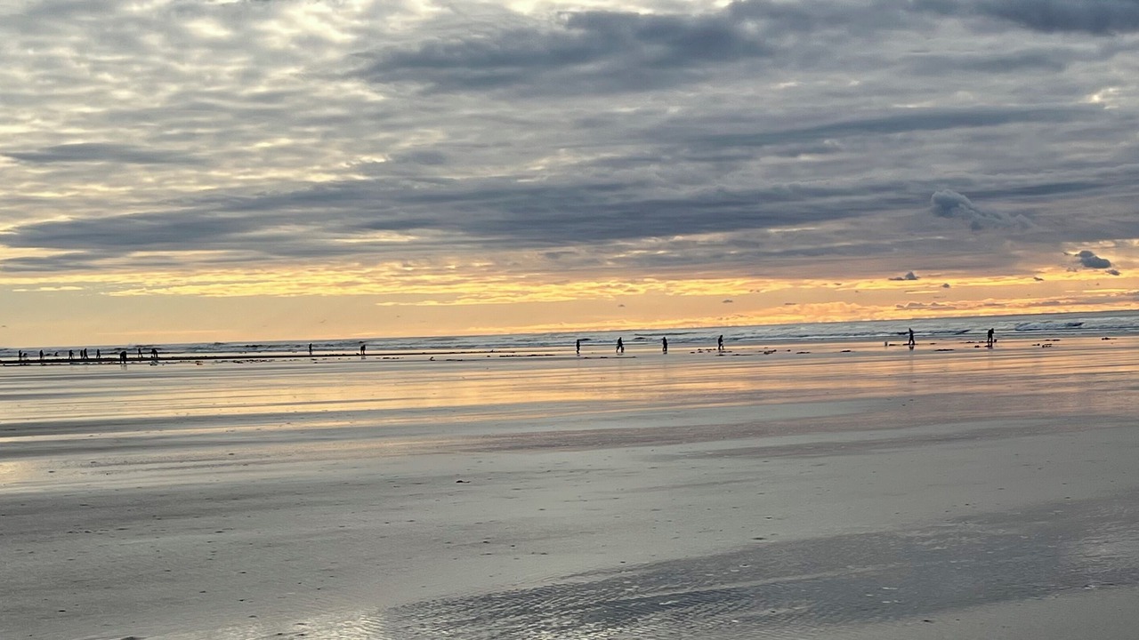 Photo of Others in Ocean Shores