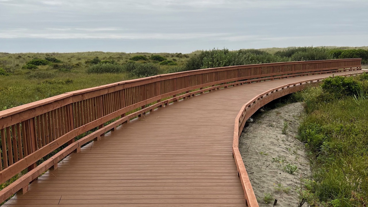 Photo of Others in Ocean Shores