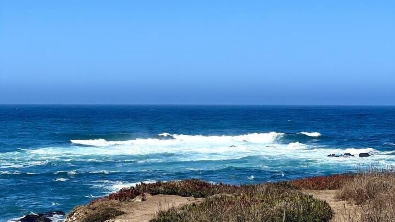 Photo of Others in Fort Bragg