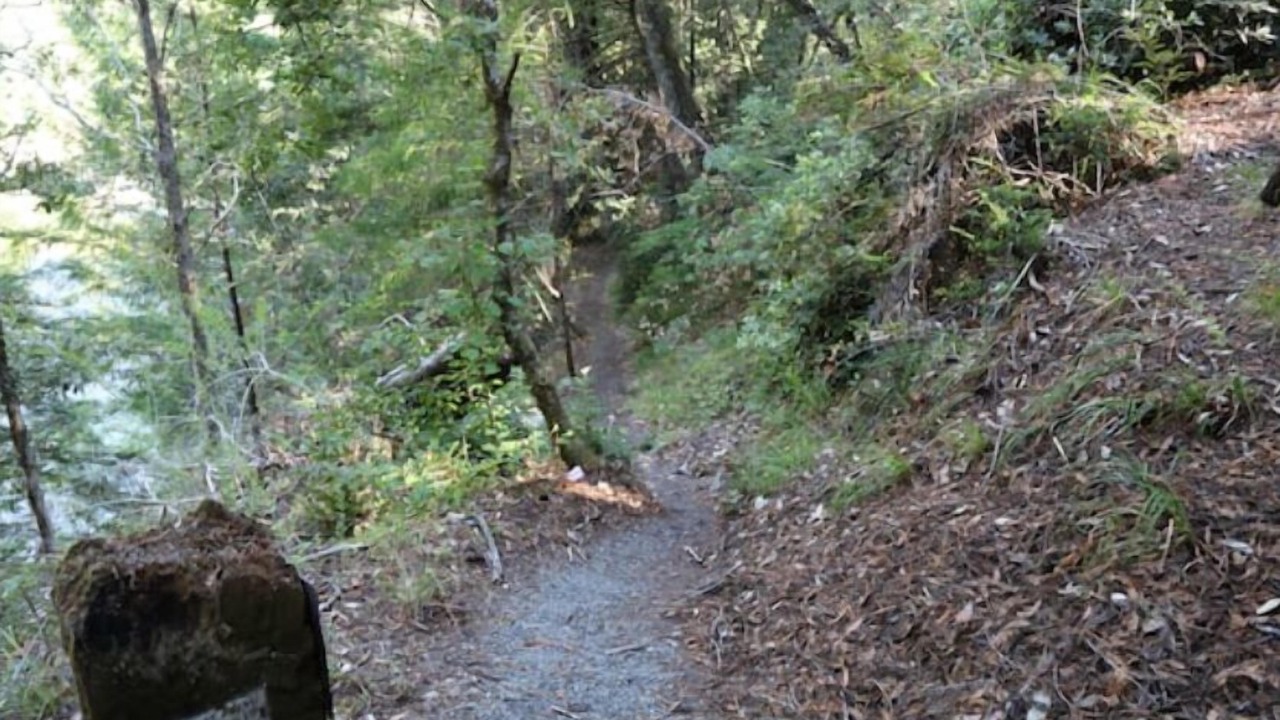 Photo of Outdoor in Garberville