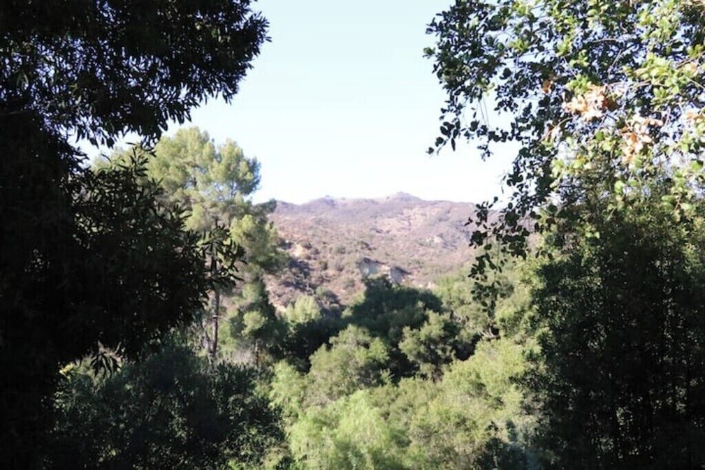 Photo of Others in Sylvia Park