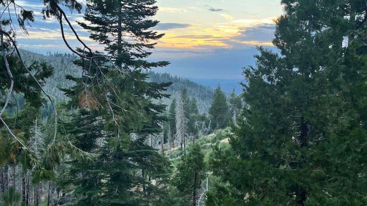 Photo of Others in Yosemite West