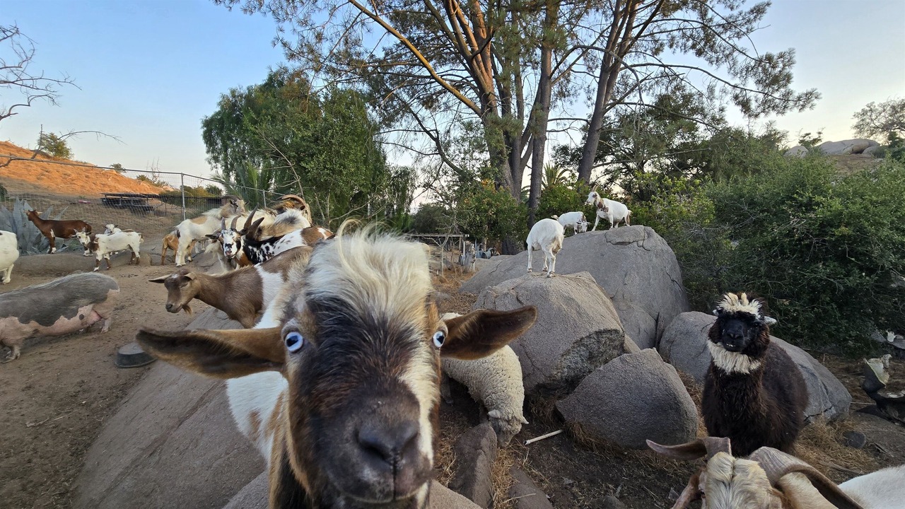 Photo of Others in Fallbrook
