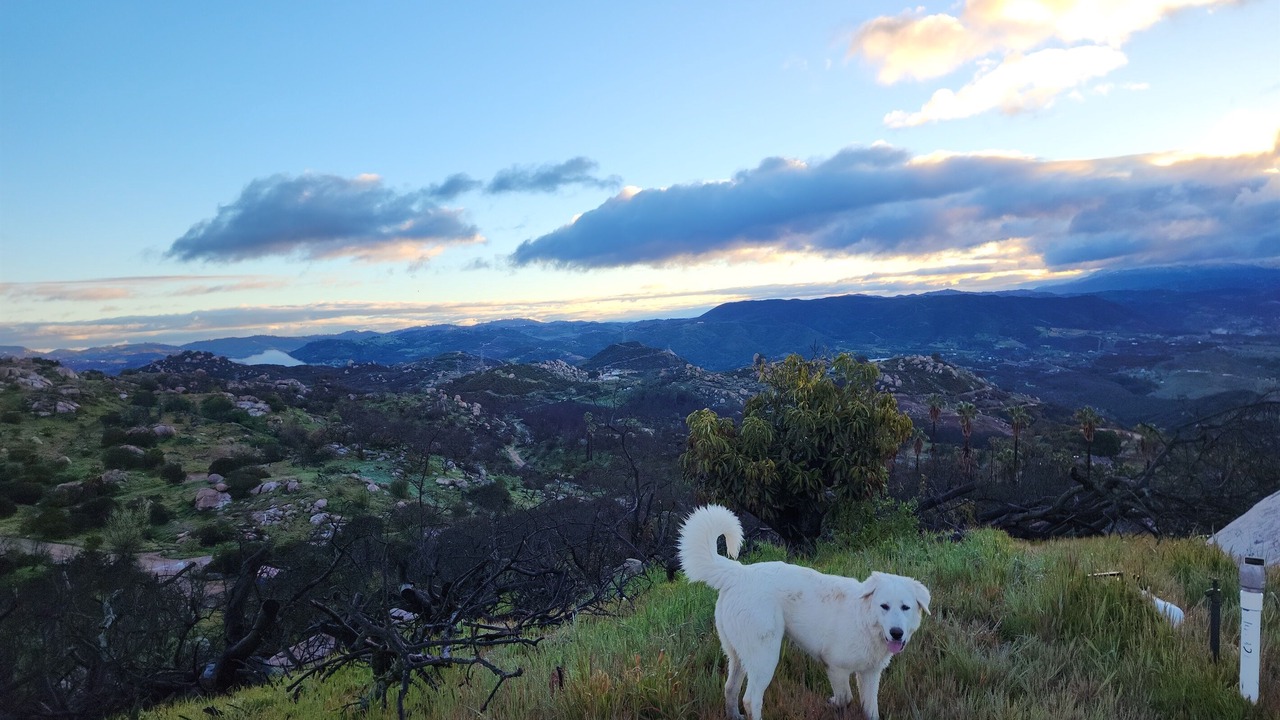 Photo of Others in Fallbrook