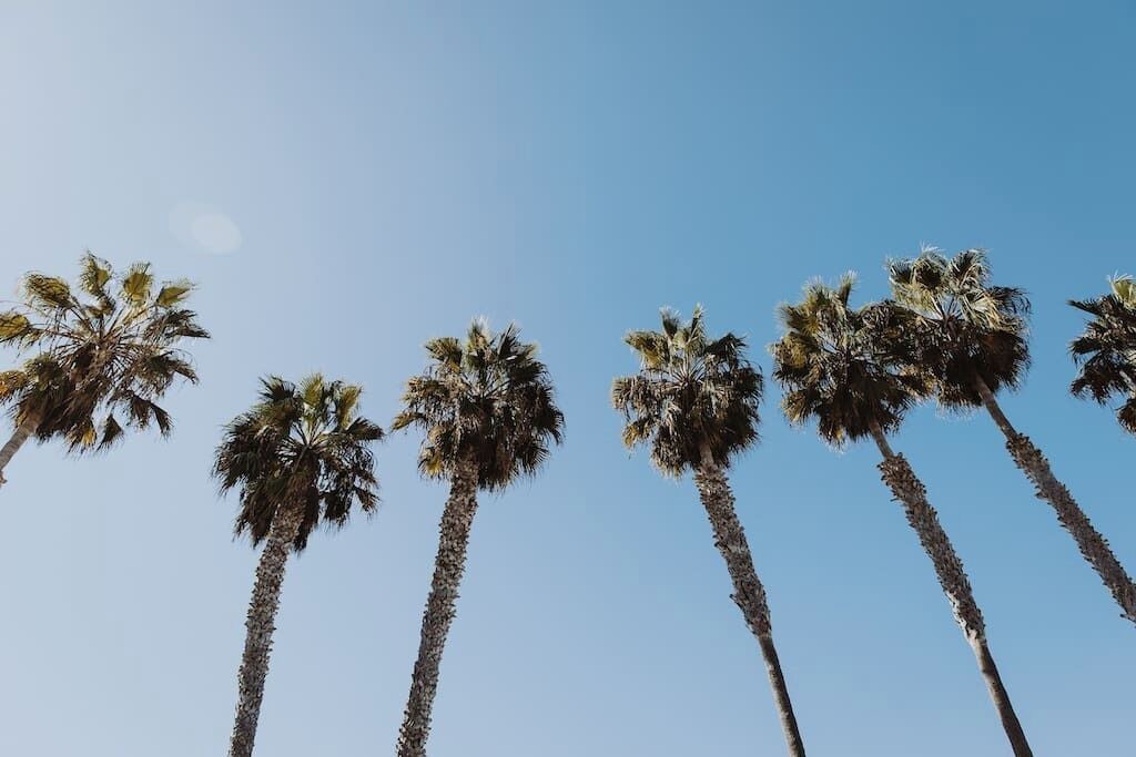 Photo of Others in Olde Solana Beach