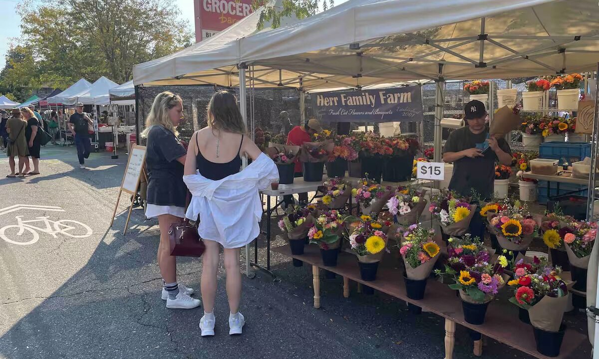 Photo of Others in Hollywood District
