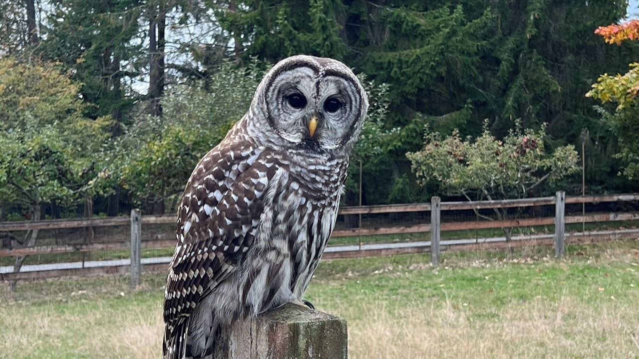 Photo of Others in Vashon Island
