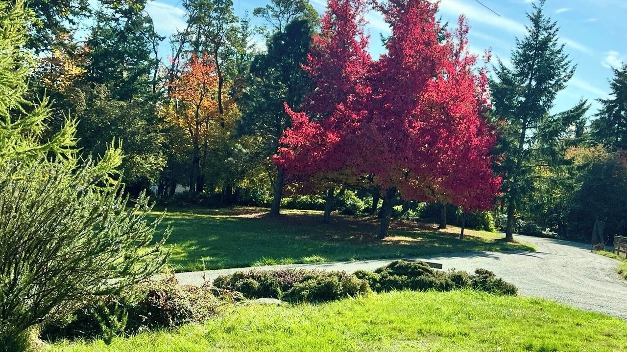 Photo of Outdoor in Vashon Island