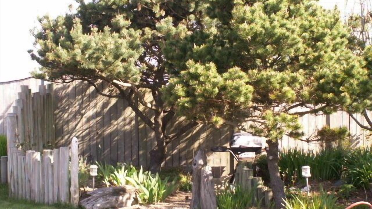 Photo of Outdoor in Newport