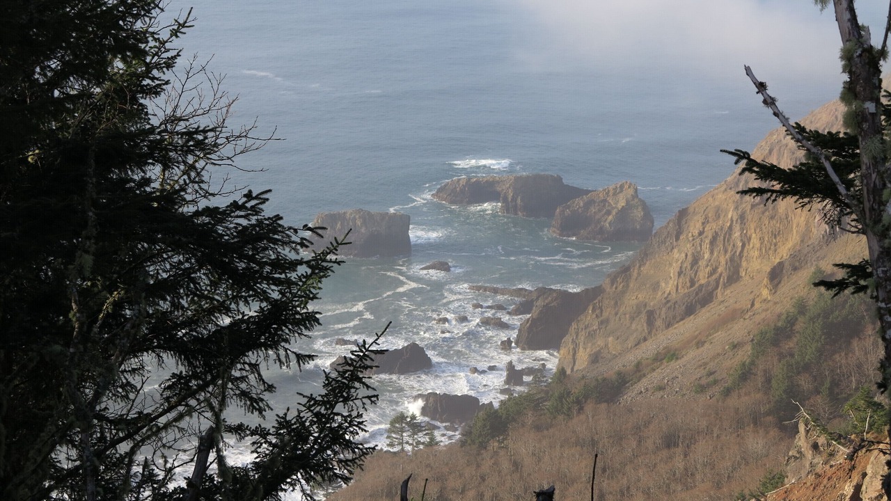 Photo of Others in Neskowin