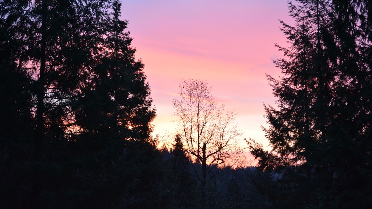 Photo of Others in Chehalis