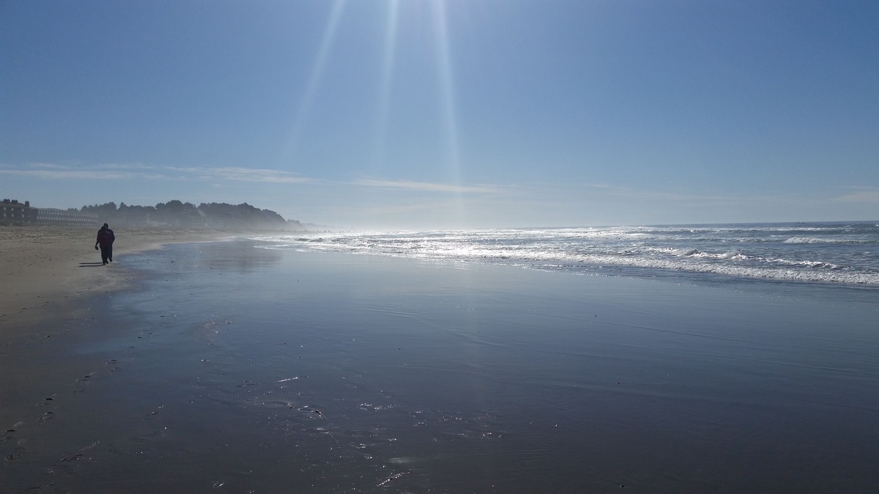Photo of Others in Lincoln City