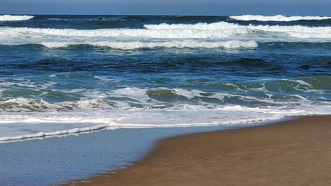 Photo of Others in Lincoln City