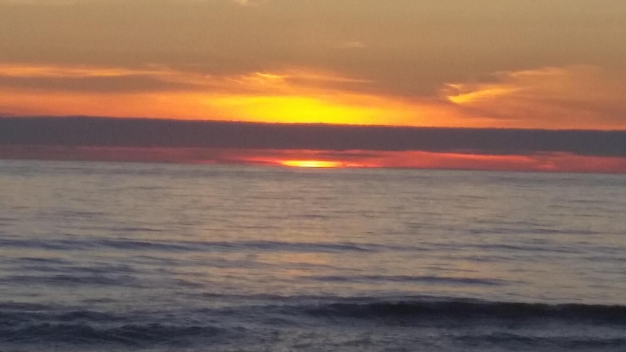 Photo of Others in Lincoln City