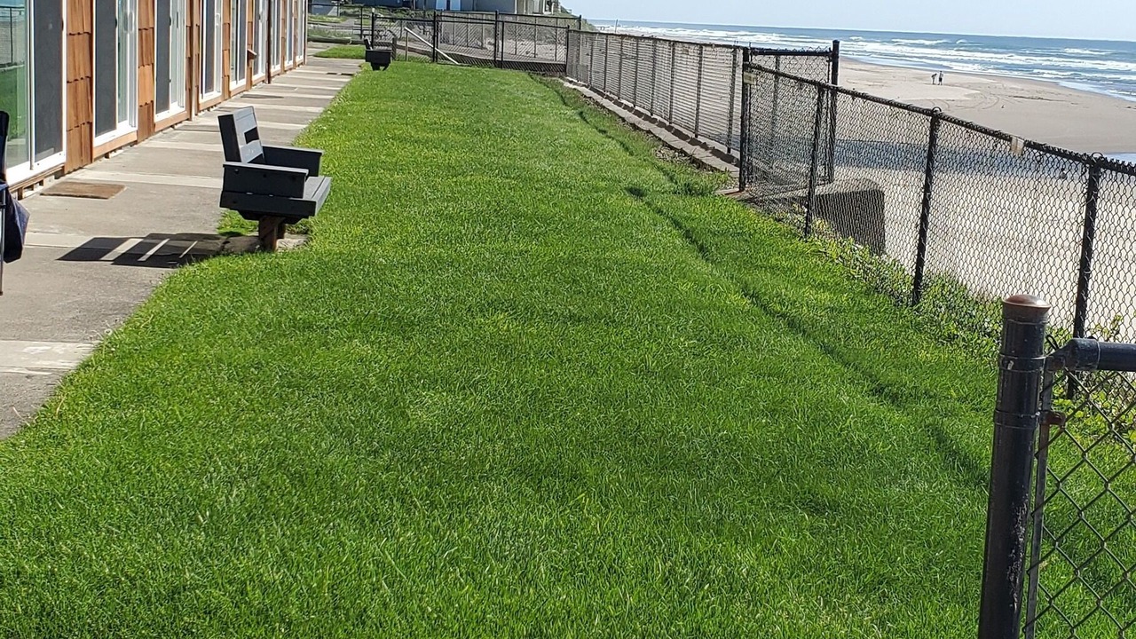 Photo of Others in Lincoln City