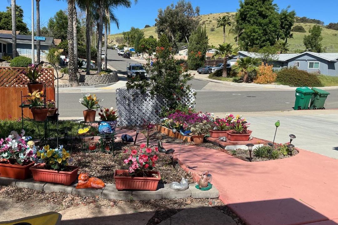 Photo of Others in Carlton Hills