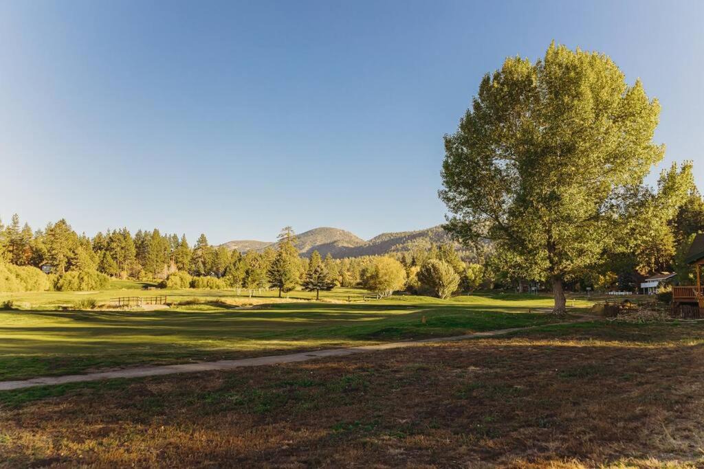 Photo of Others in Upper Moonridge