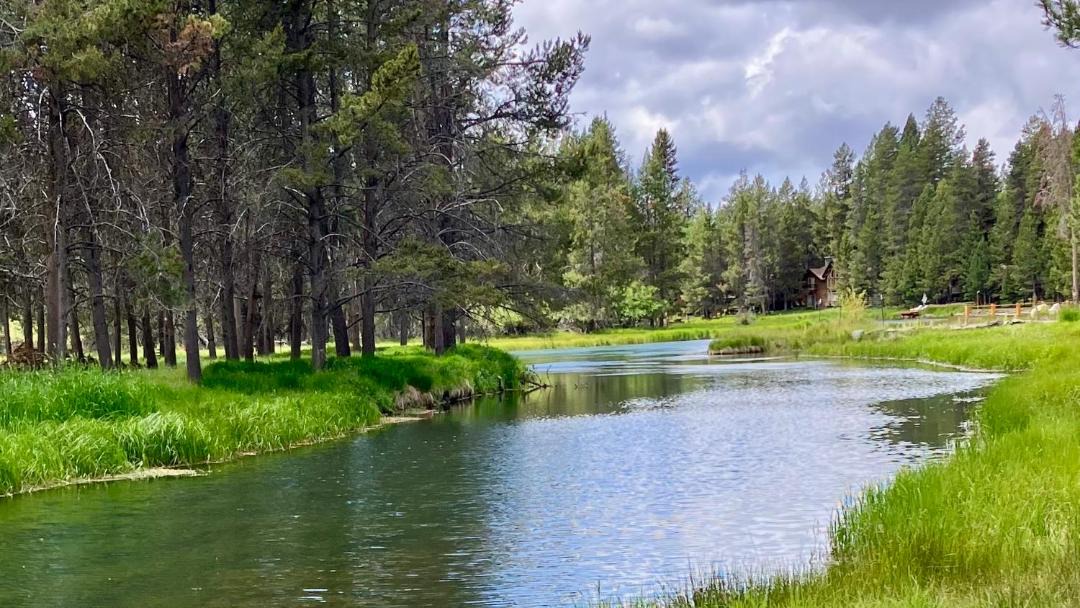 Photo of Others in Oregon Water Wonderland