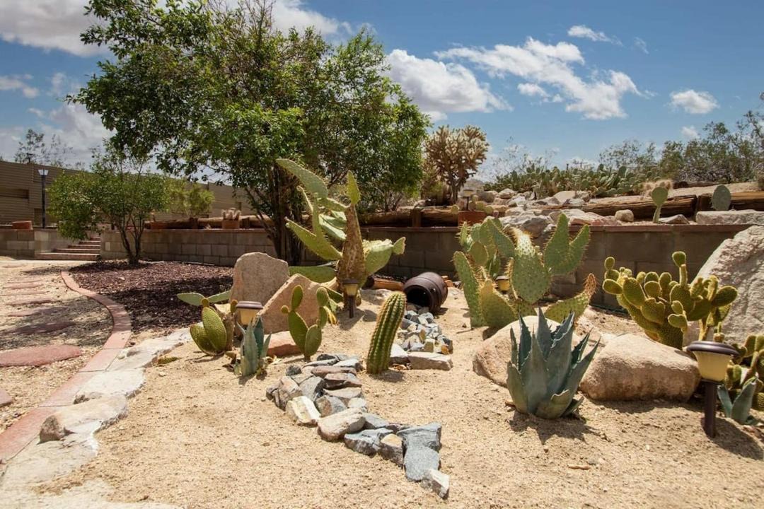 Photo of Others in Joshua Tree