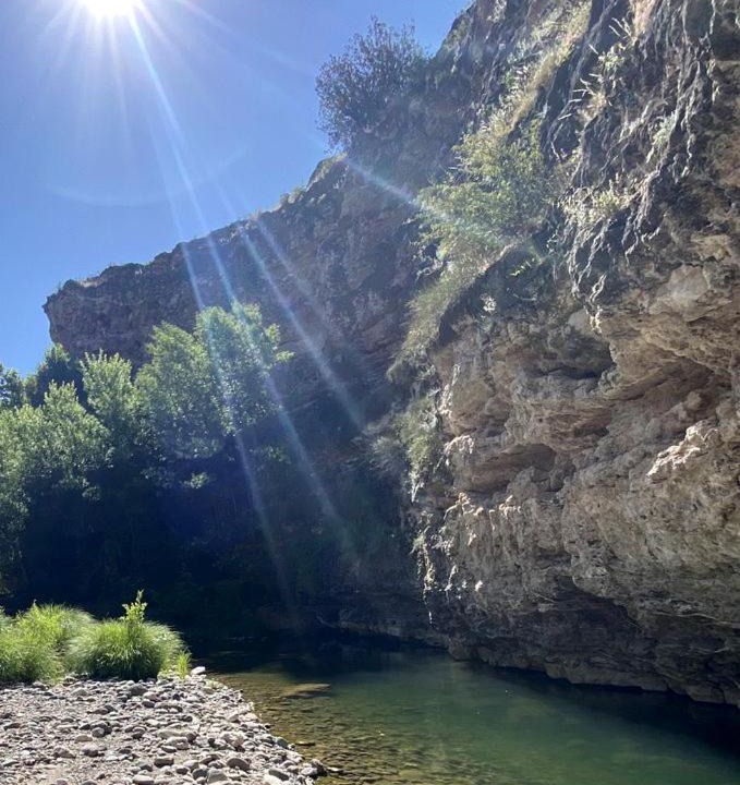 Photo of Others in Rimrock