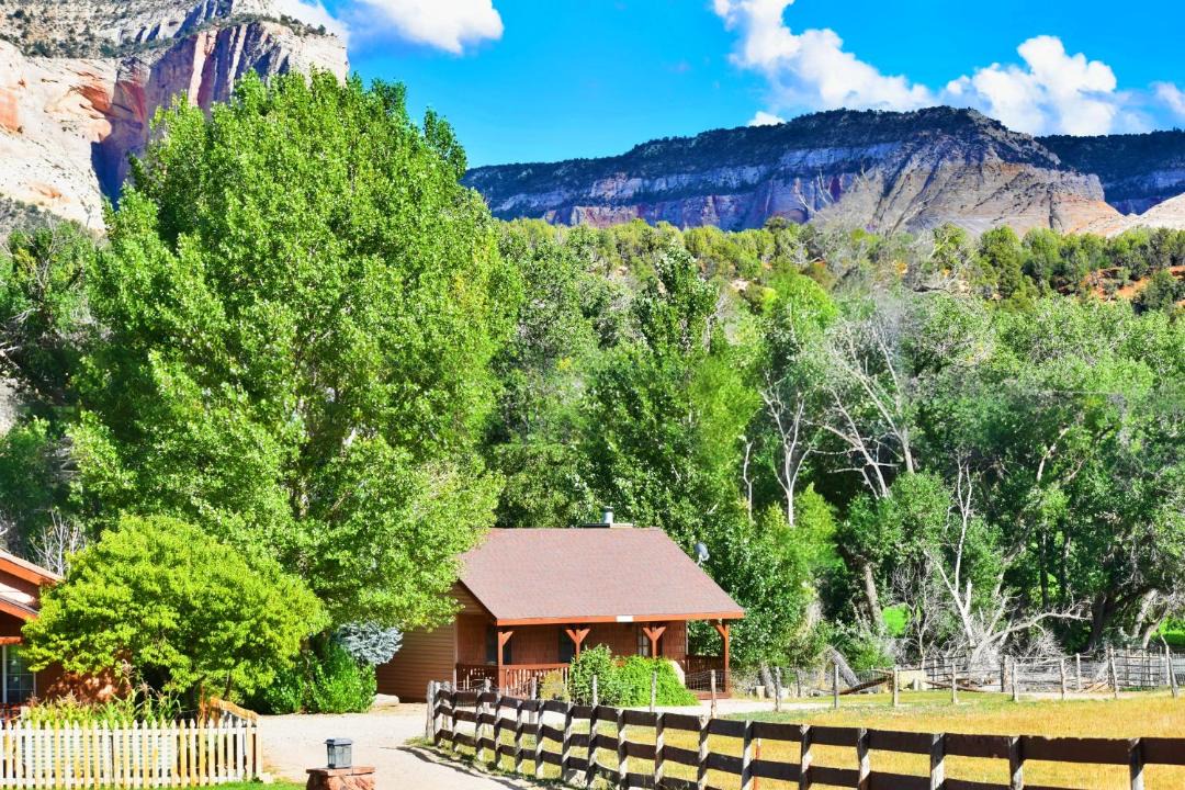 Photo of Others in Zion National Park East Entrance