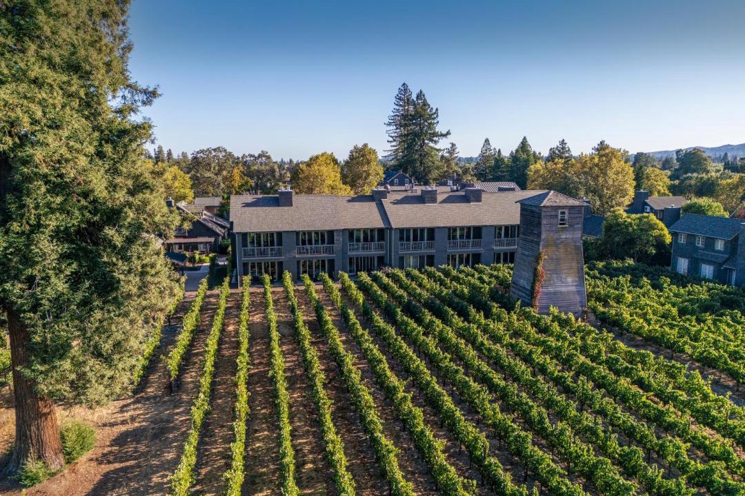 Photo of Others in Napa