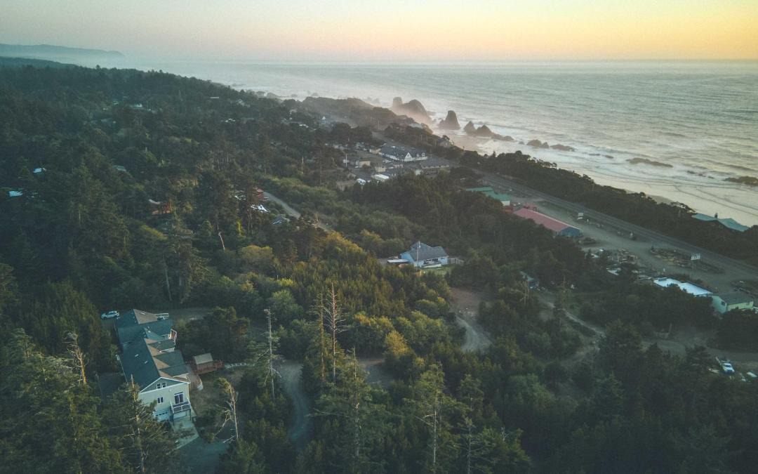 Photo of Others in Seal Rock