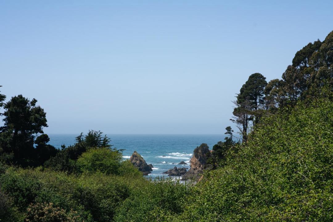 Photo of Others in Fort Bragg