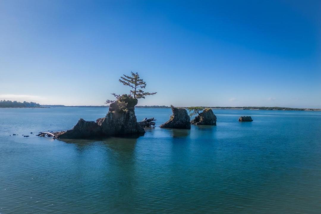Photo of Others in Lincoln City