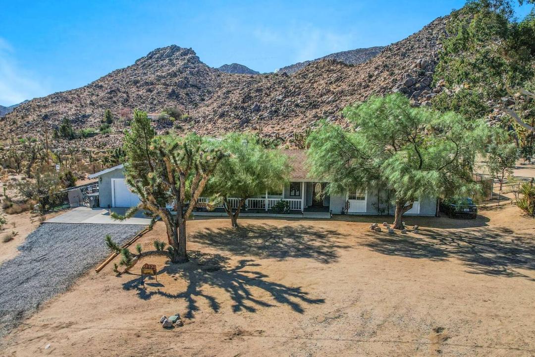 Photo of Others in Joshua Tree