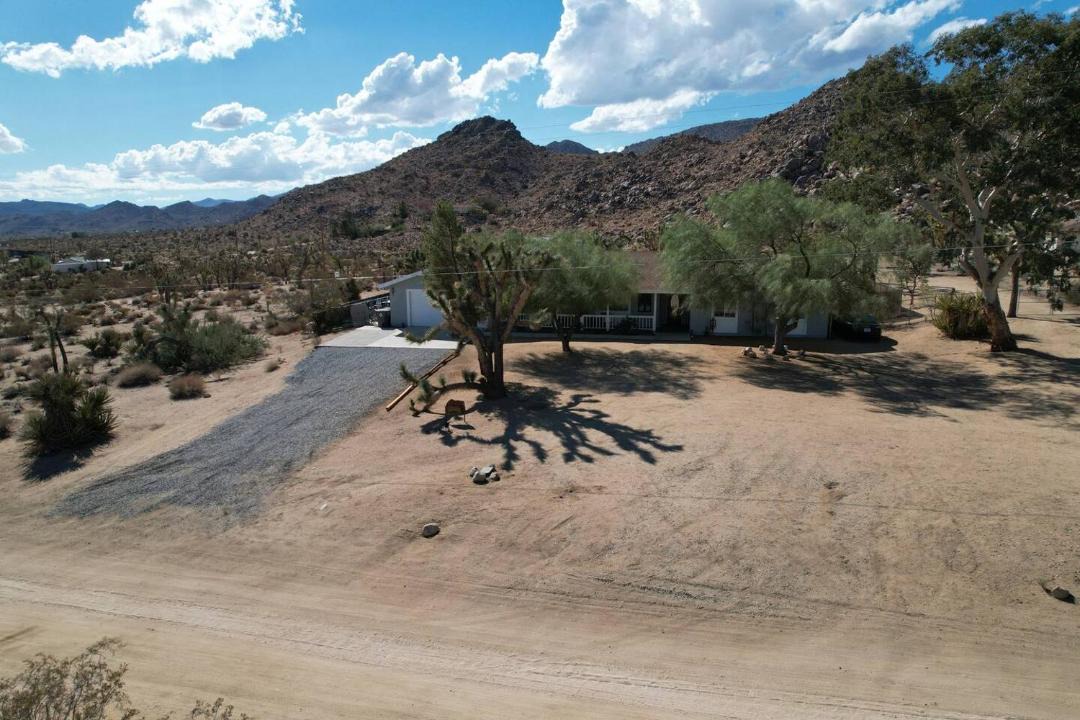 Photo of Others in Joshua Tree