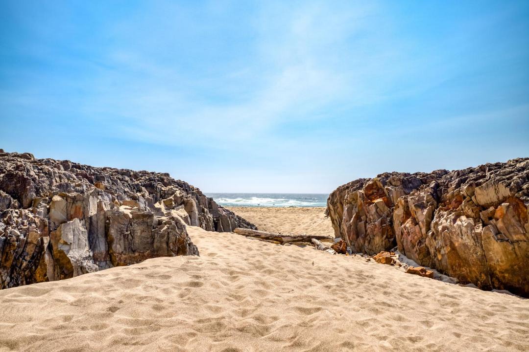 Photo of Others in Lincoln City