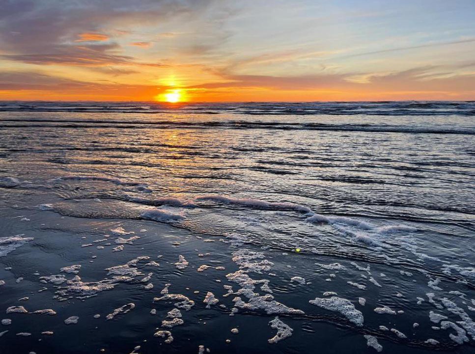 Photo of Others in Ocean Shores