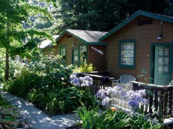 Photo of Others in Guerneville