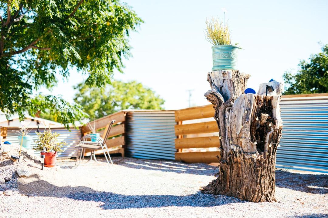 Photo of Others in Joshua Tree